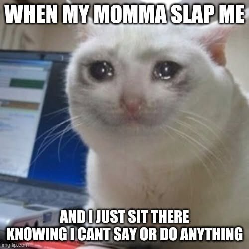 Schrödinger's Coin tweet media