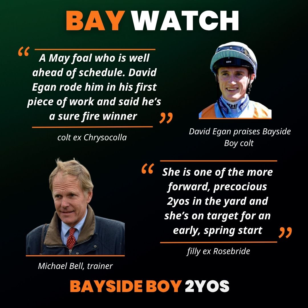 BallylinchStud tweet media