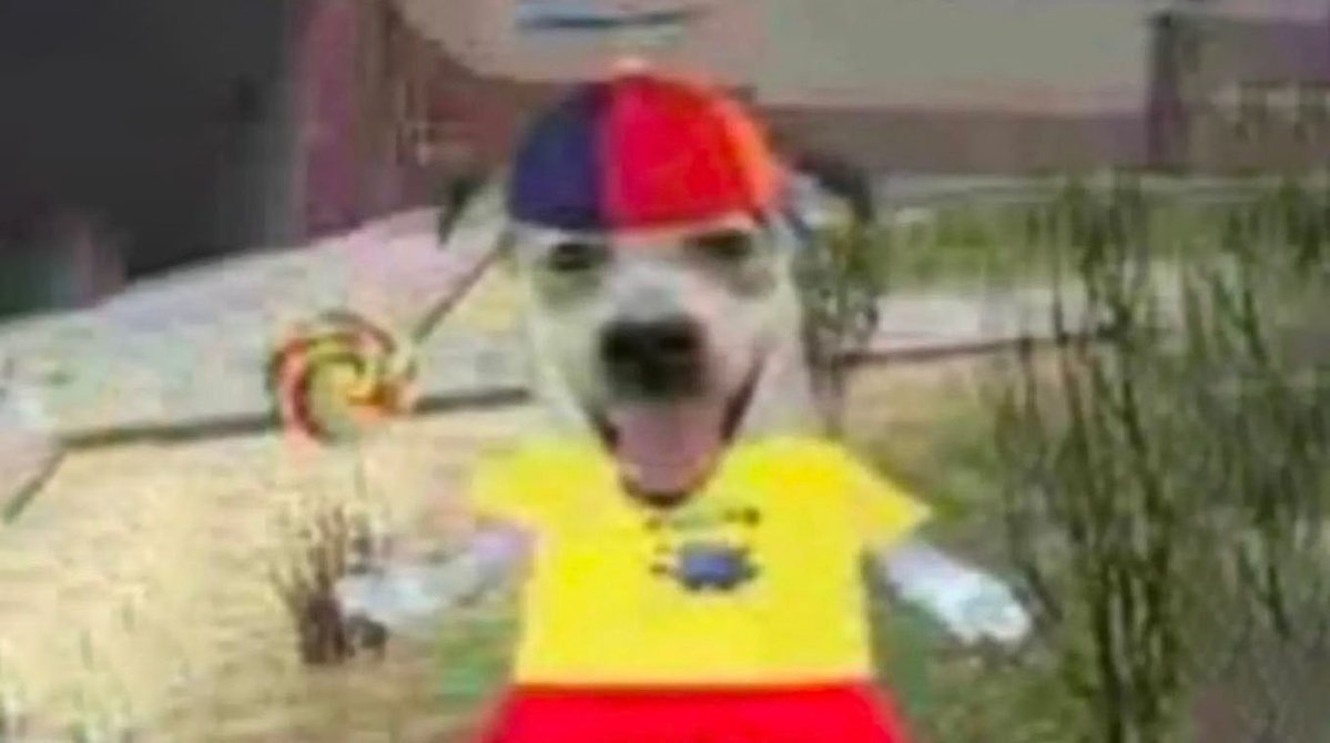 gay lawyer enjoyer tweet media