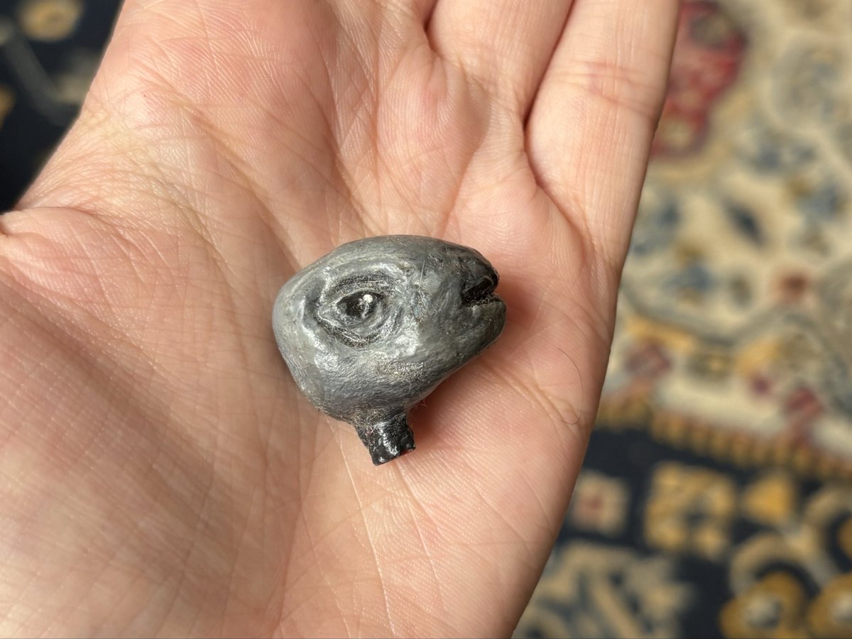 catarina camargo tweet media