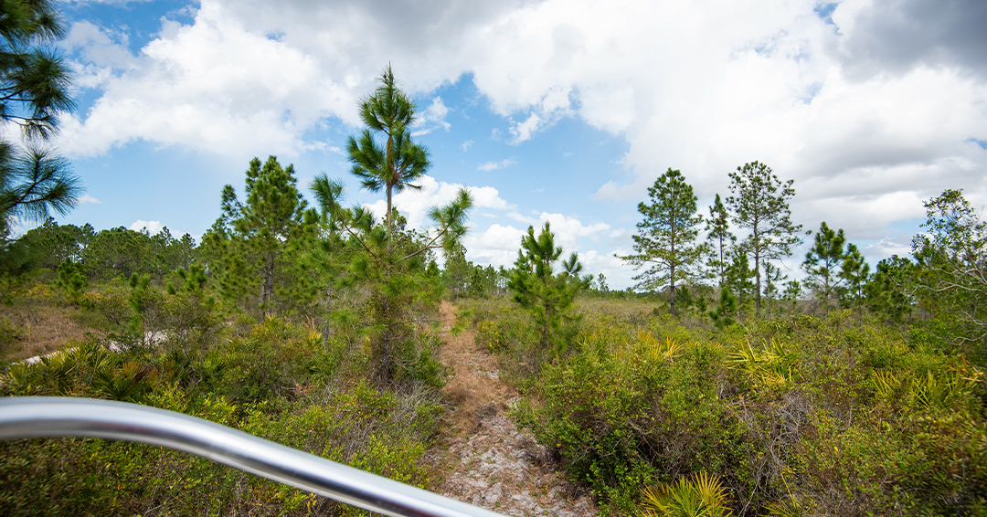 Polk Fire Rescue tweet media