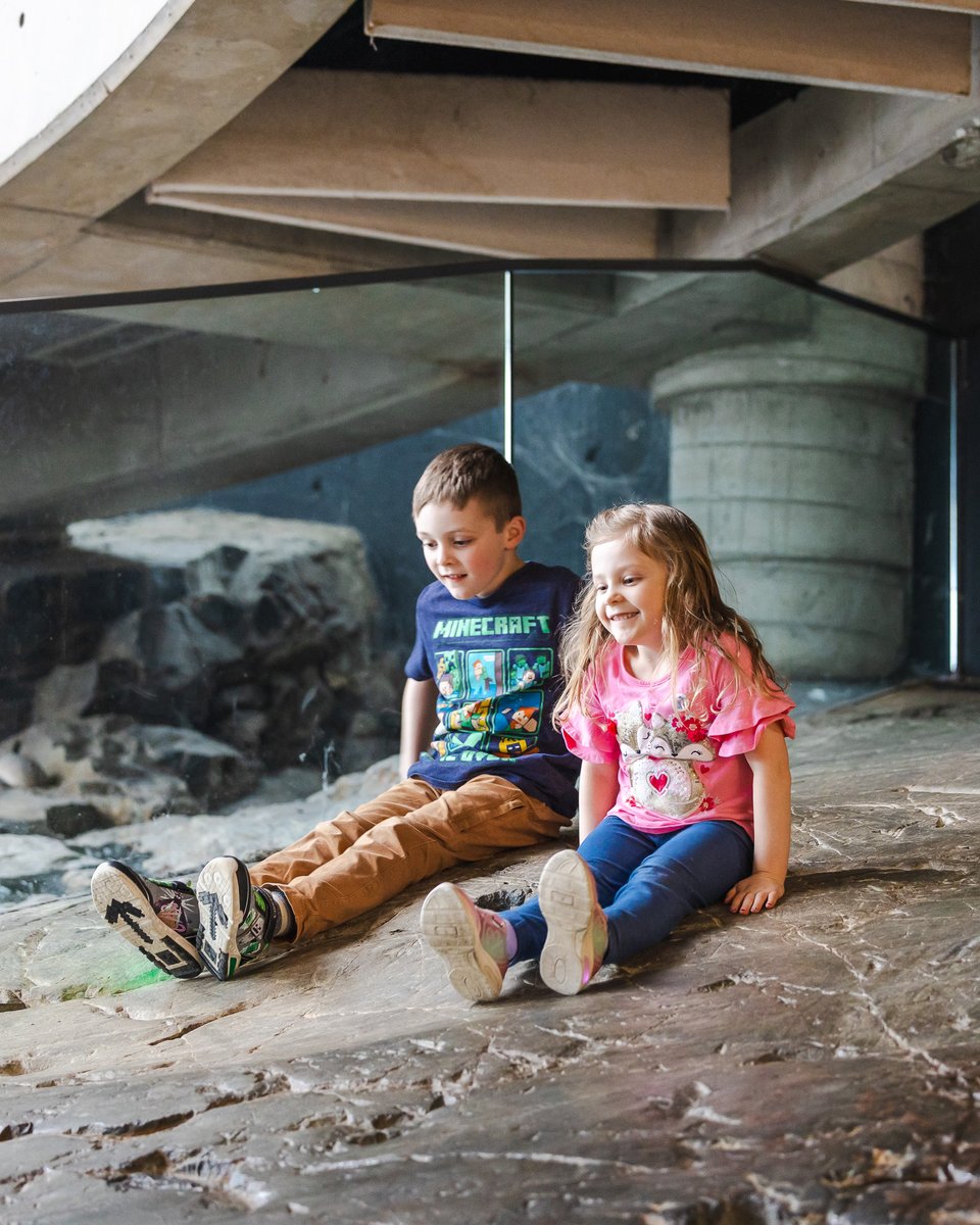 Science North & Dynamic Earth tweet media