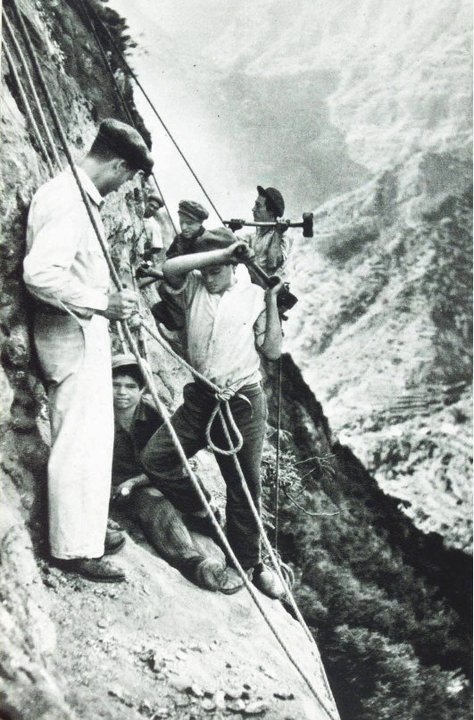 Madeira Island / Ilha da Madeira tweet media