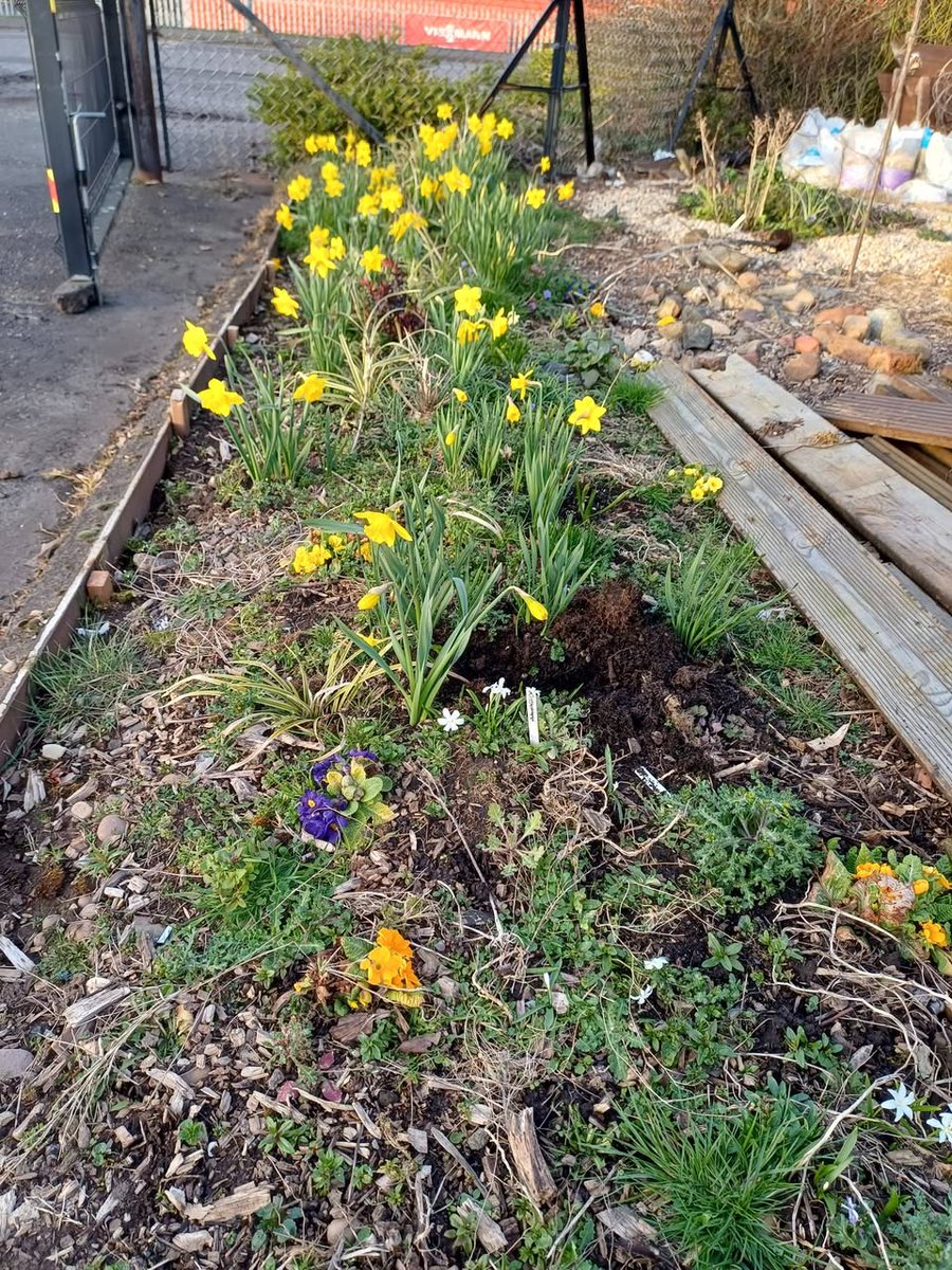 VIP-Pass Community Project SC043687 tweet media