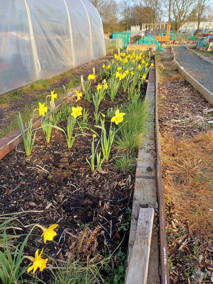 VIP-Pass Community Project SC043687 tweet media