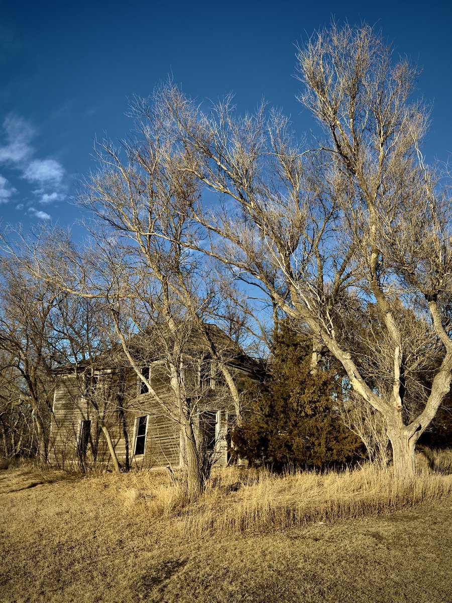 Trace Wipf tweet media