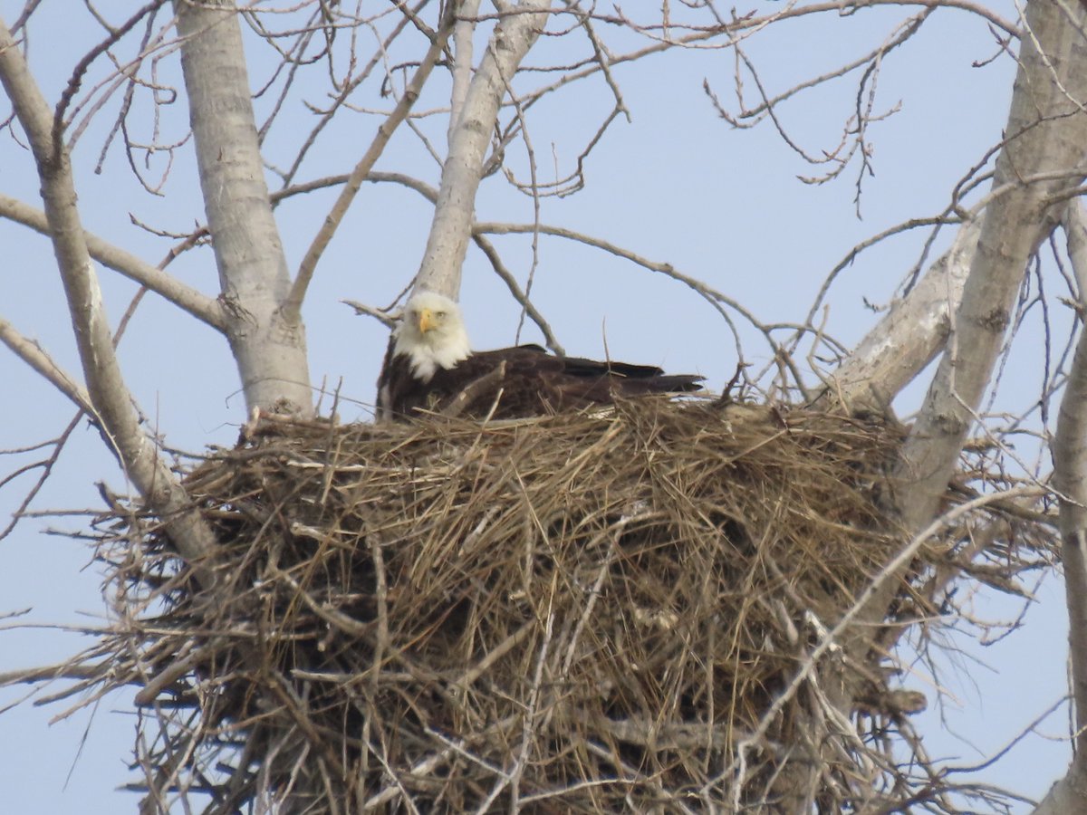 Port of Baltimore tweet media