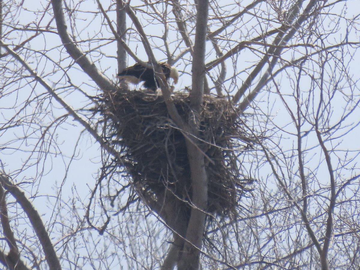 Port of Baltimore tweet media