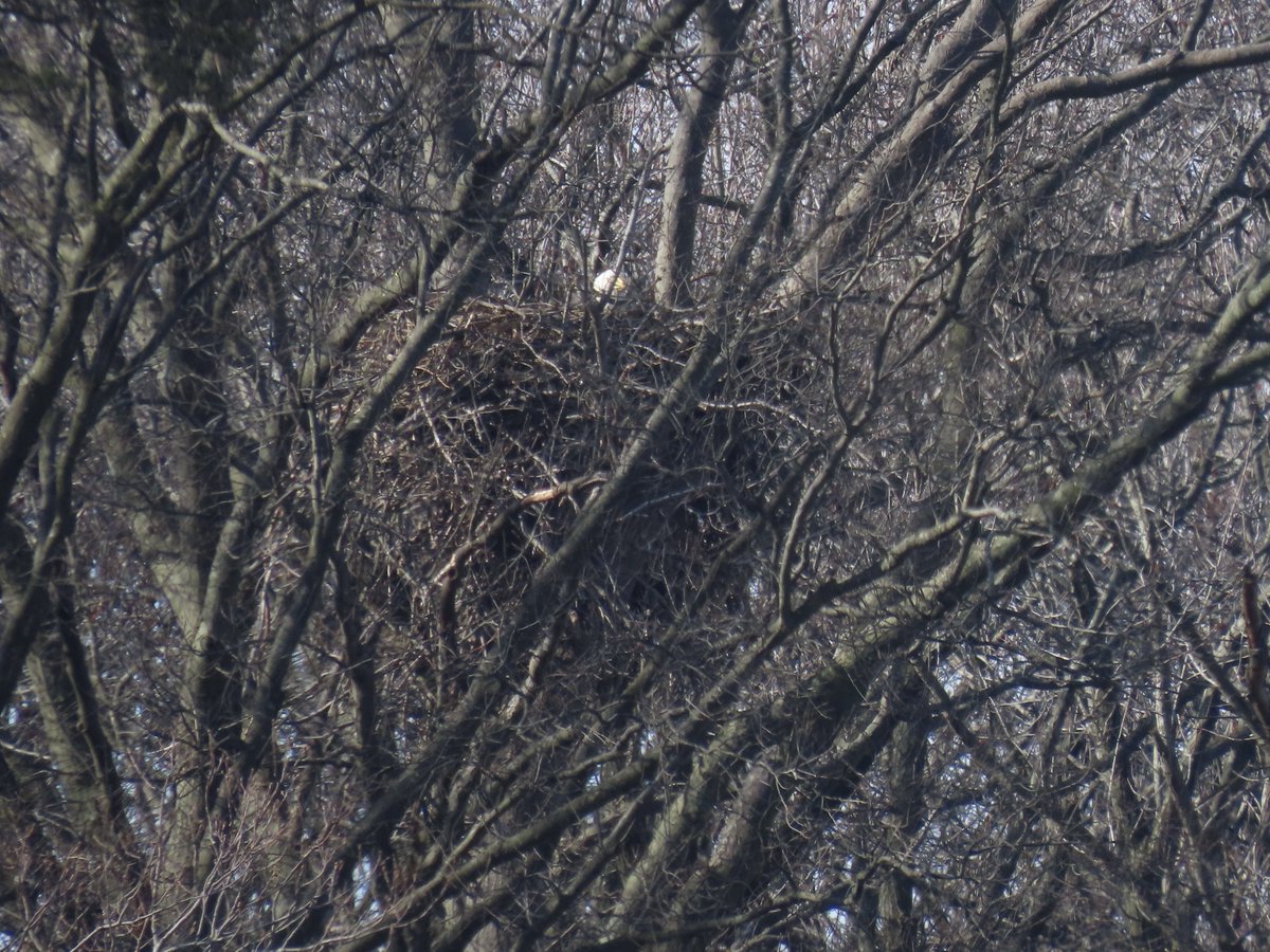 Port of Baltimore tweet media