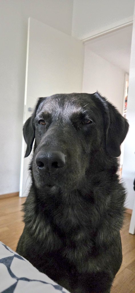 ailgamar tweet media