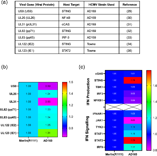 Microbiology Society tweet media