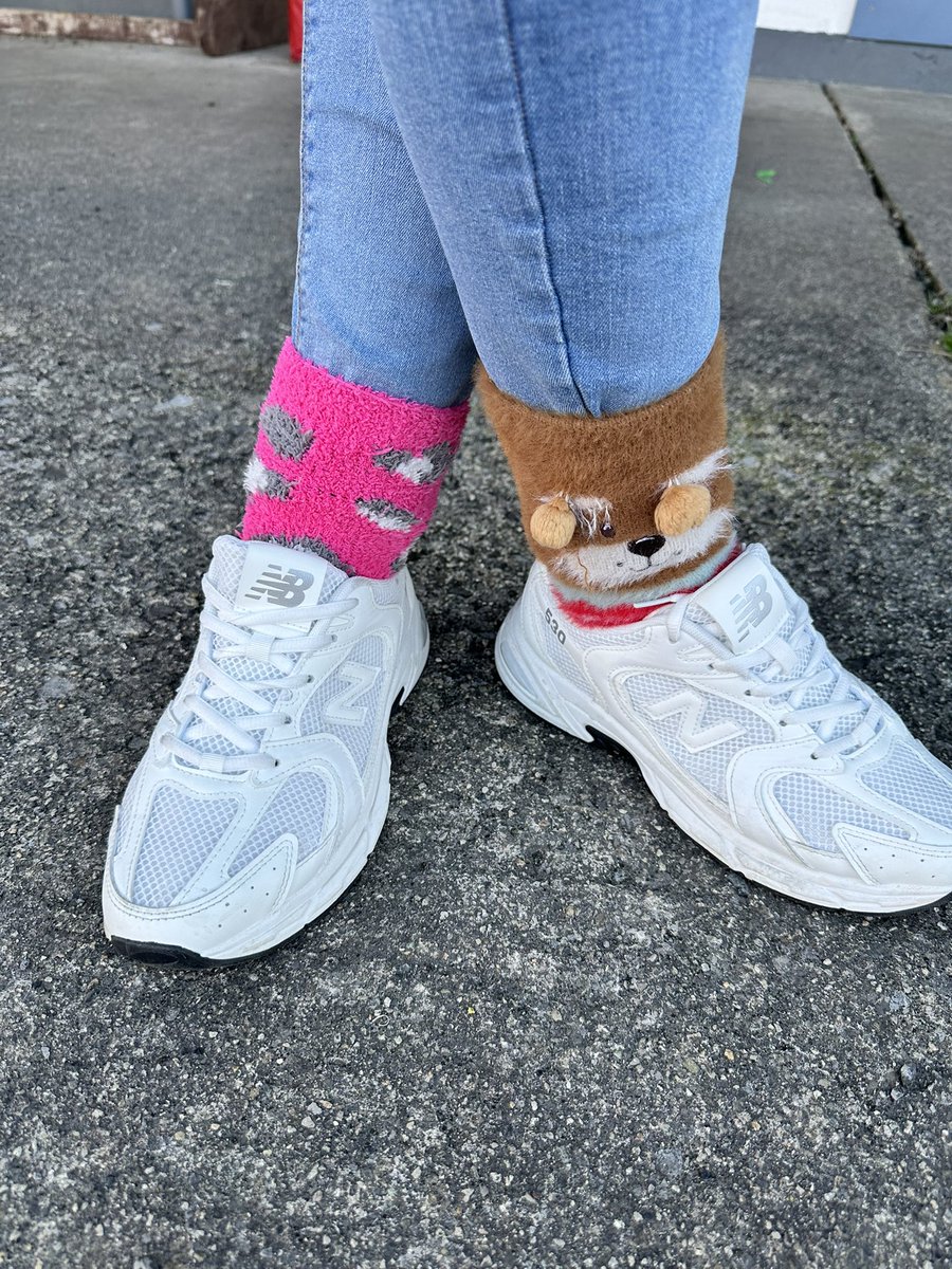 St. Cecilia's School tweet media