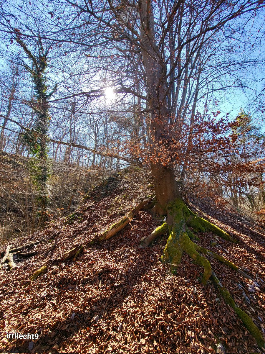 NitramSu tweet media