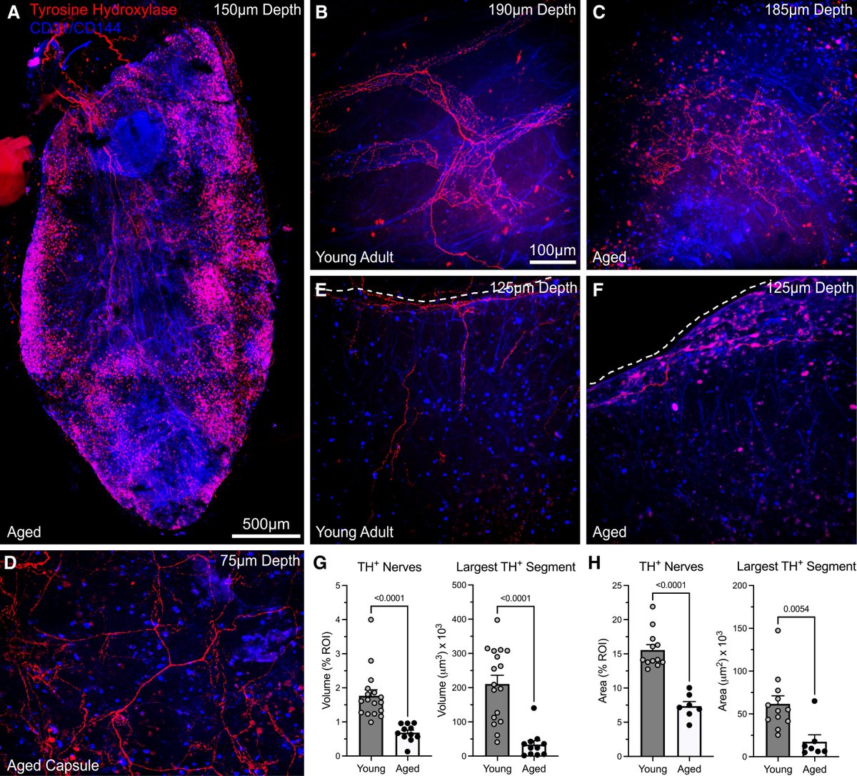 Waggoner Lab tweet media