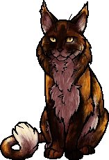daily warrior cats pairs! tweet media
