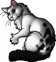 daily warrior cats pairs! tweet media