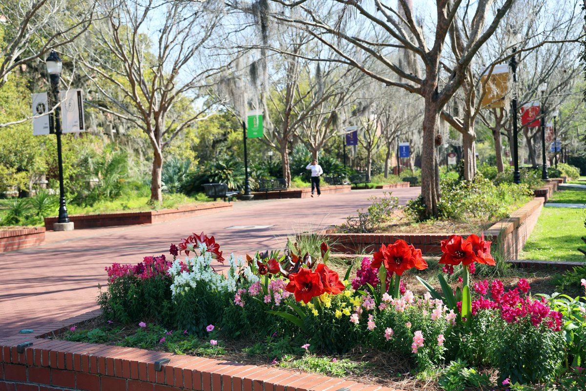 Florida State University tweet media