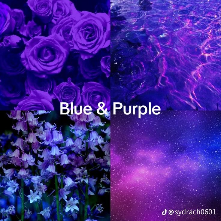violet✧*｡ tweet media