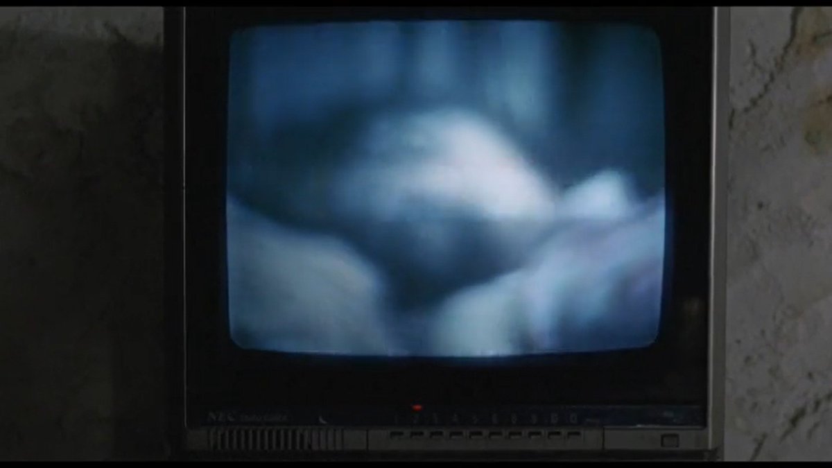 Sarah Makes People Watch Things! tweet media