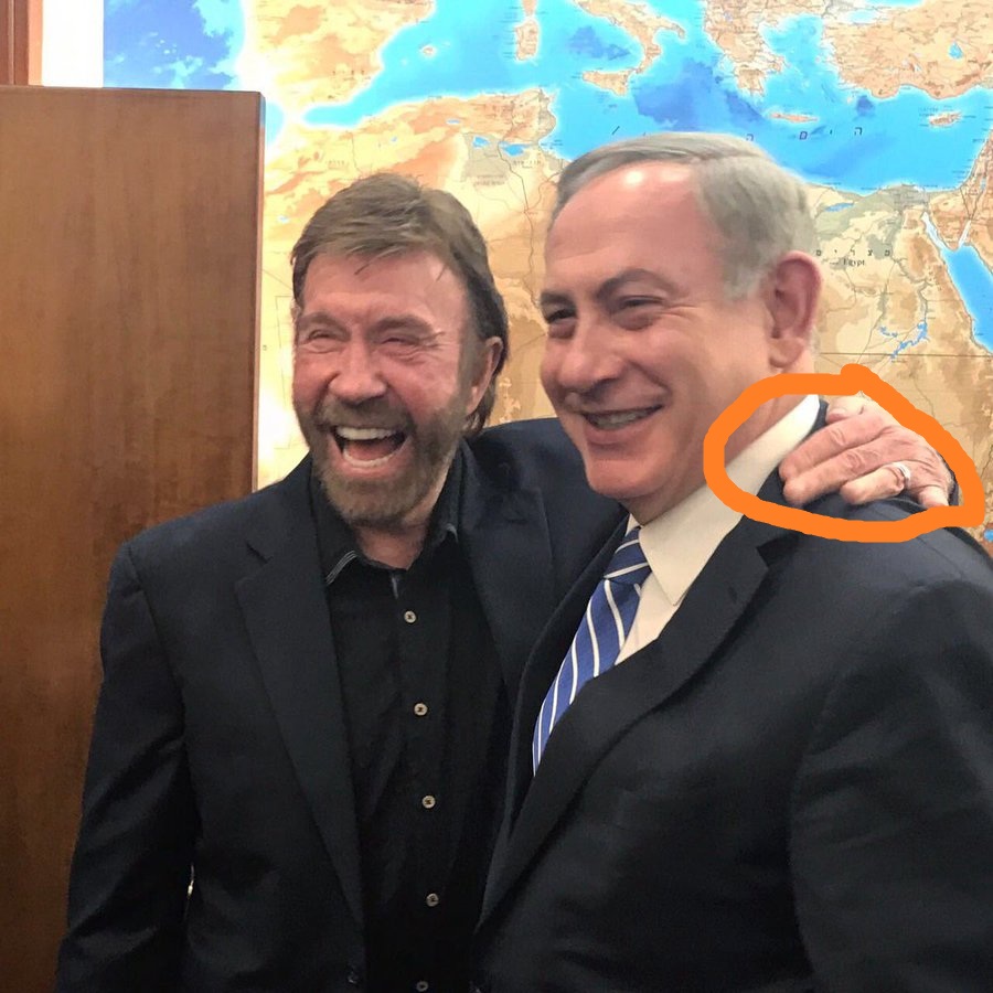 Contraryan tweet media