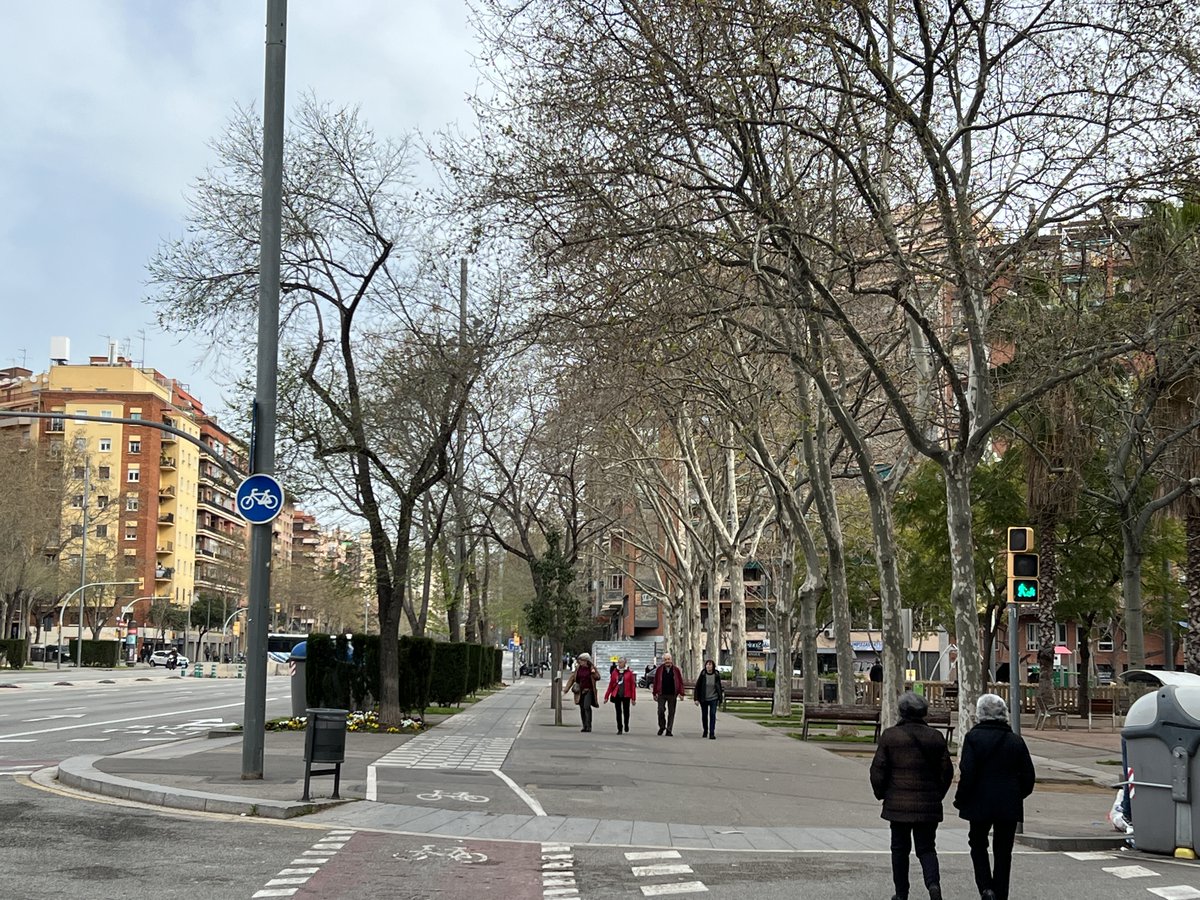 Barriades de Provençals tweet media