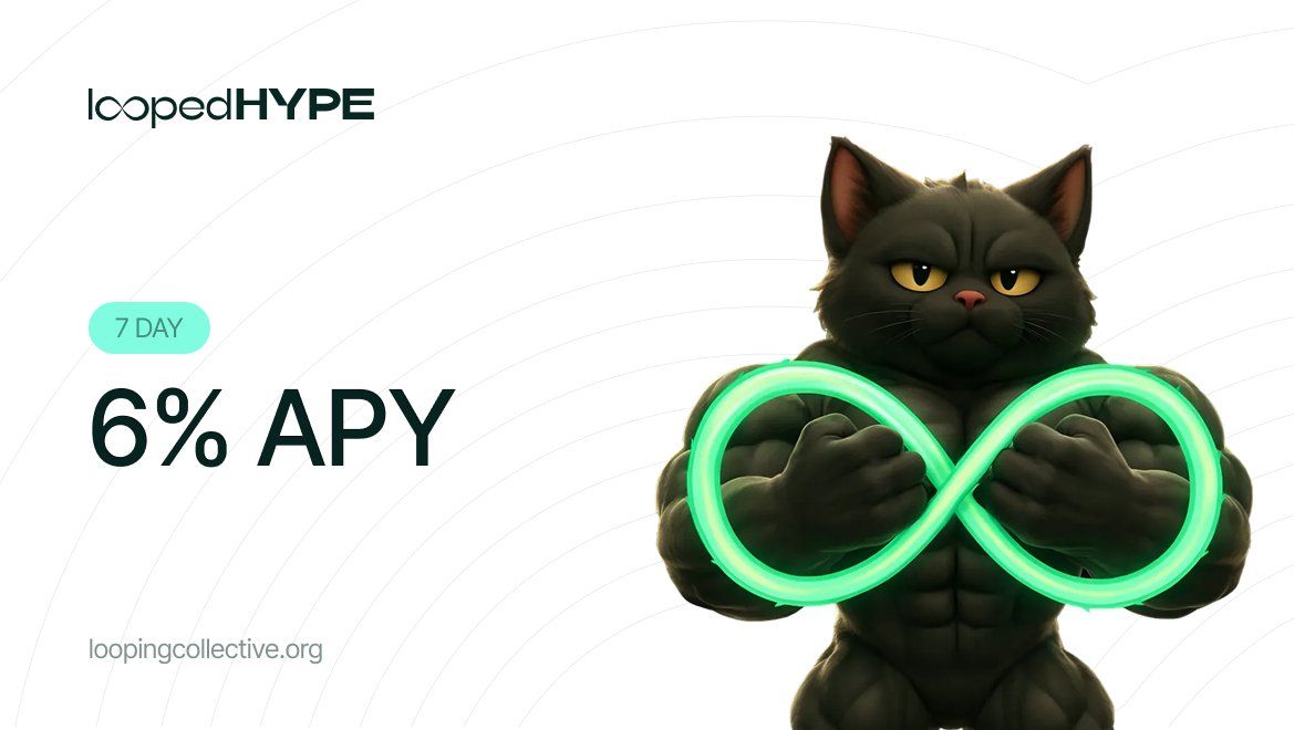 loopedHYPE tweet media