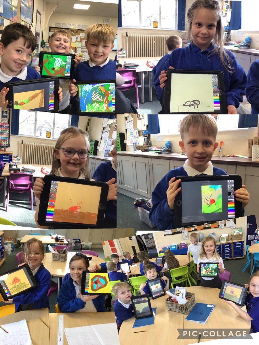 WhitegateBirch tweet media