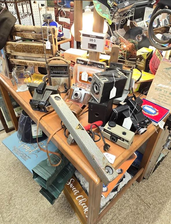 Ann Martin-Frey tweet media