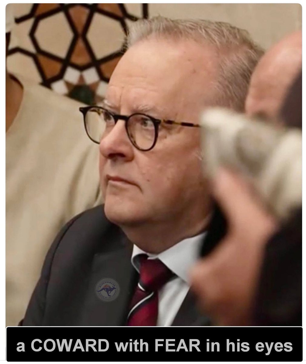 Jill Marinelli tweet media