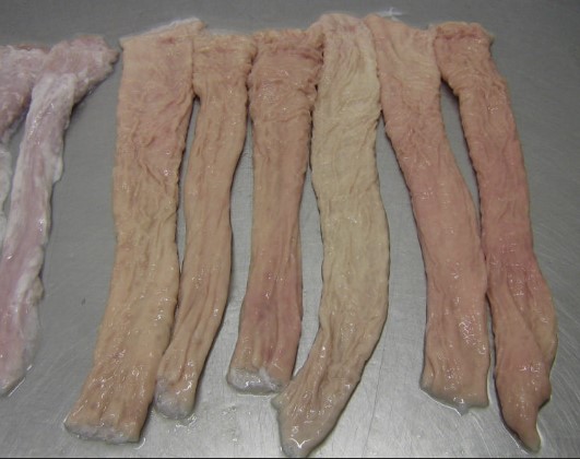 Jacques Merde tweet media