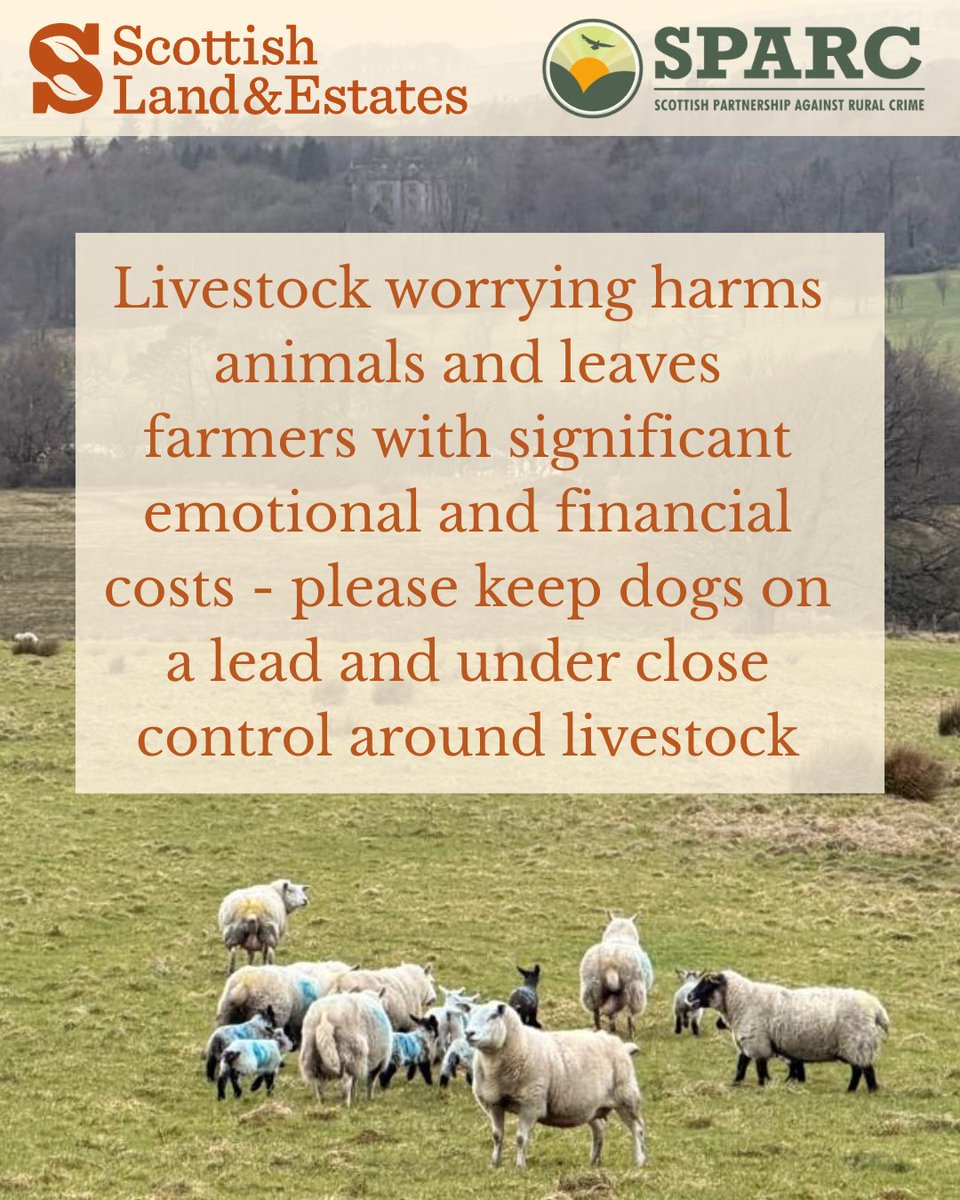 Scottish Land & Estates tweet media