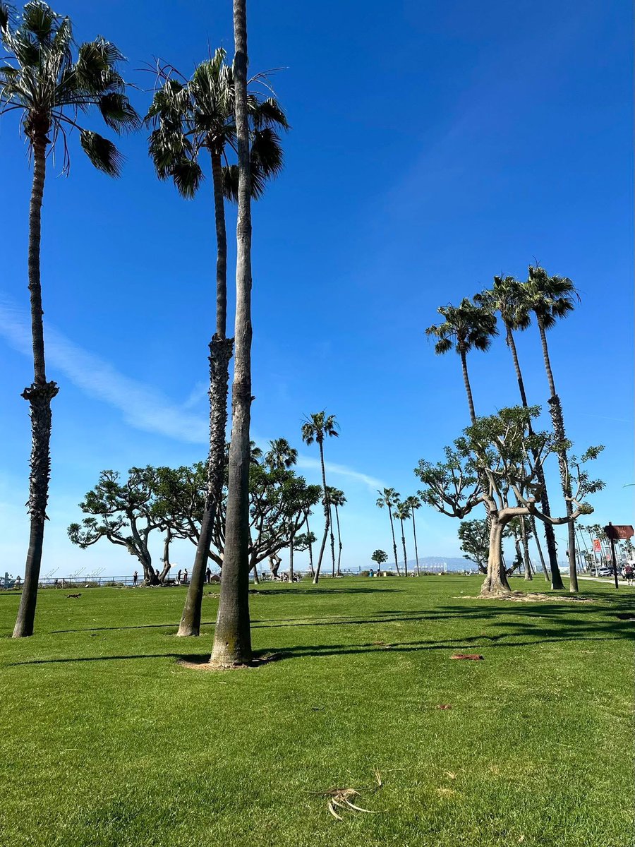 polorosas562@gmail.com tweet media