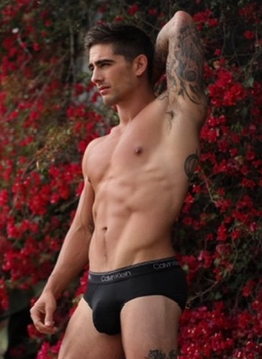 Justyn fox tweet media