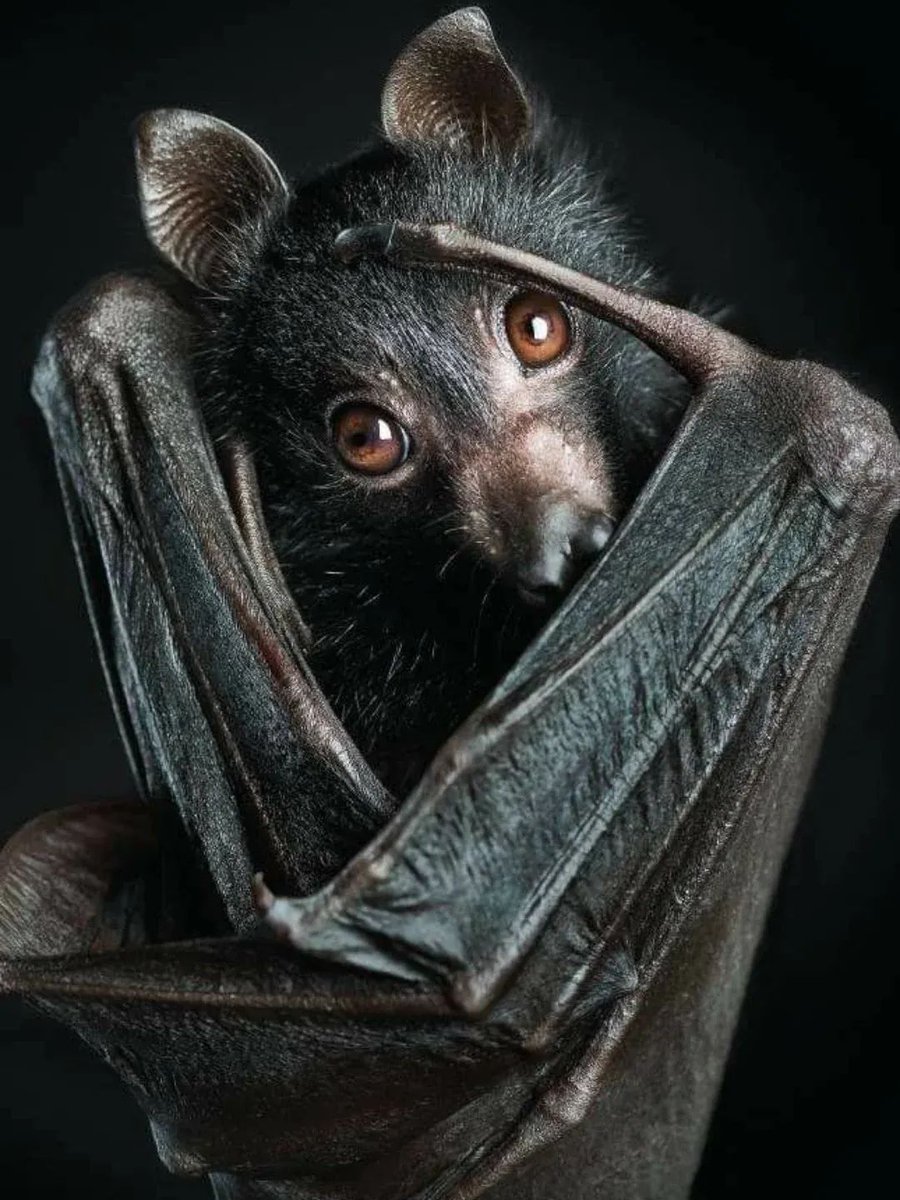 Kate KRYK tweet media