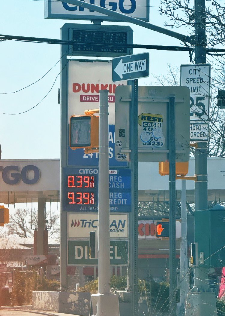 Gregjewishstein tweet media