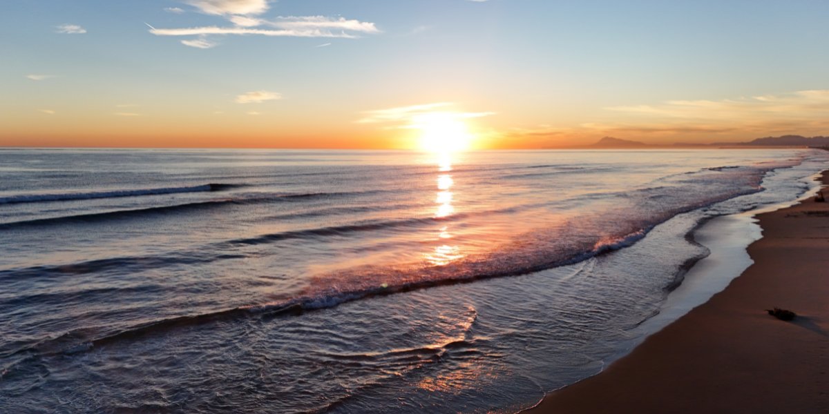 Region of Valencia tweet media