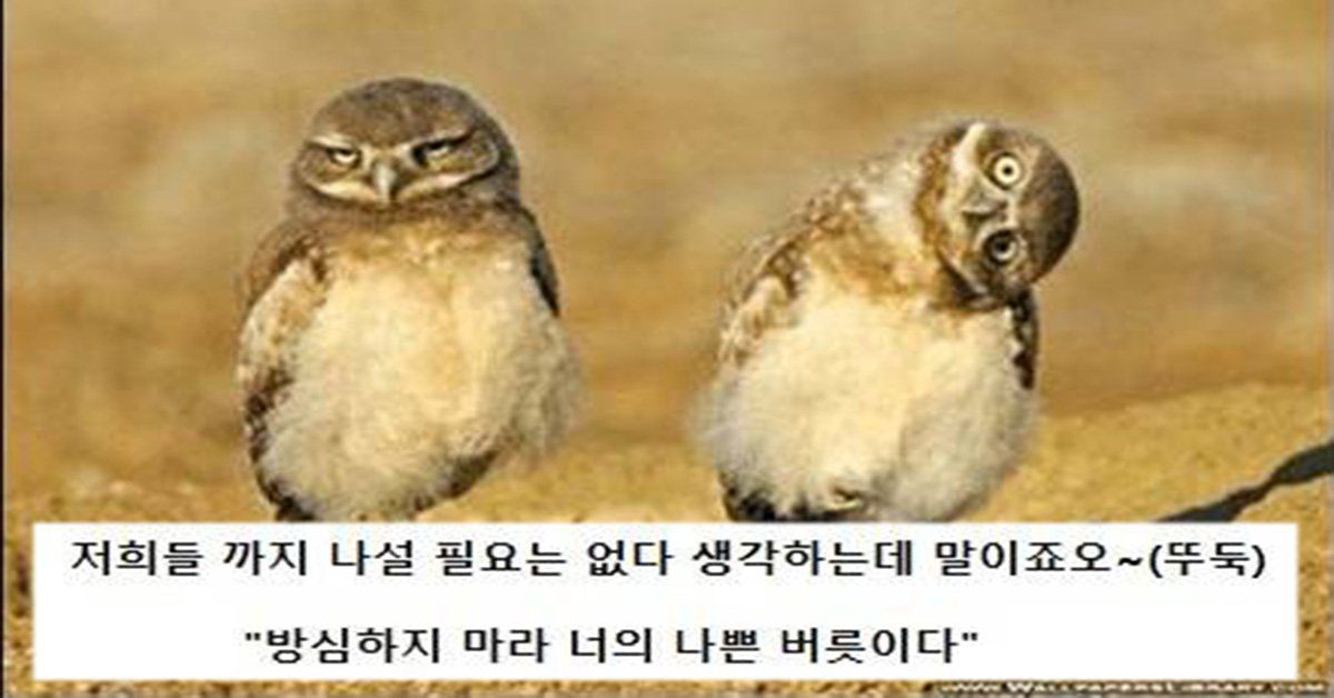 벼락의 초승달 도끼 + 25 tweet media