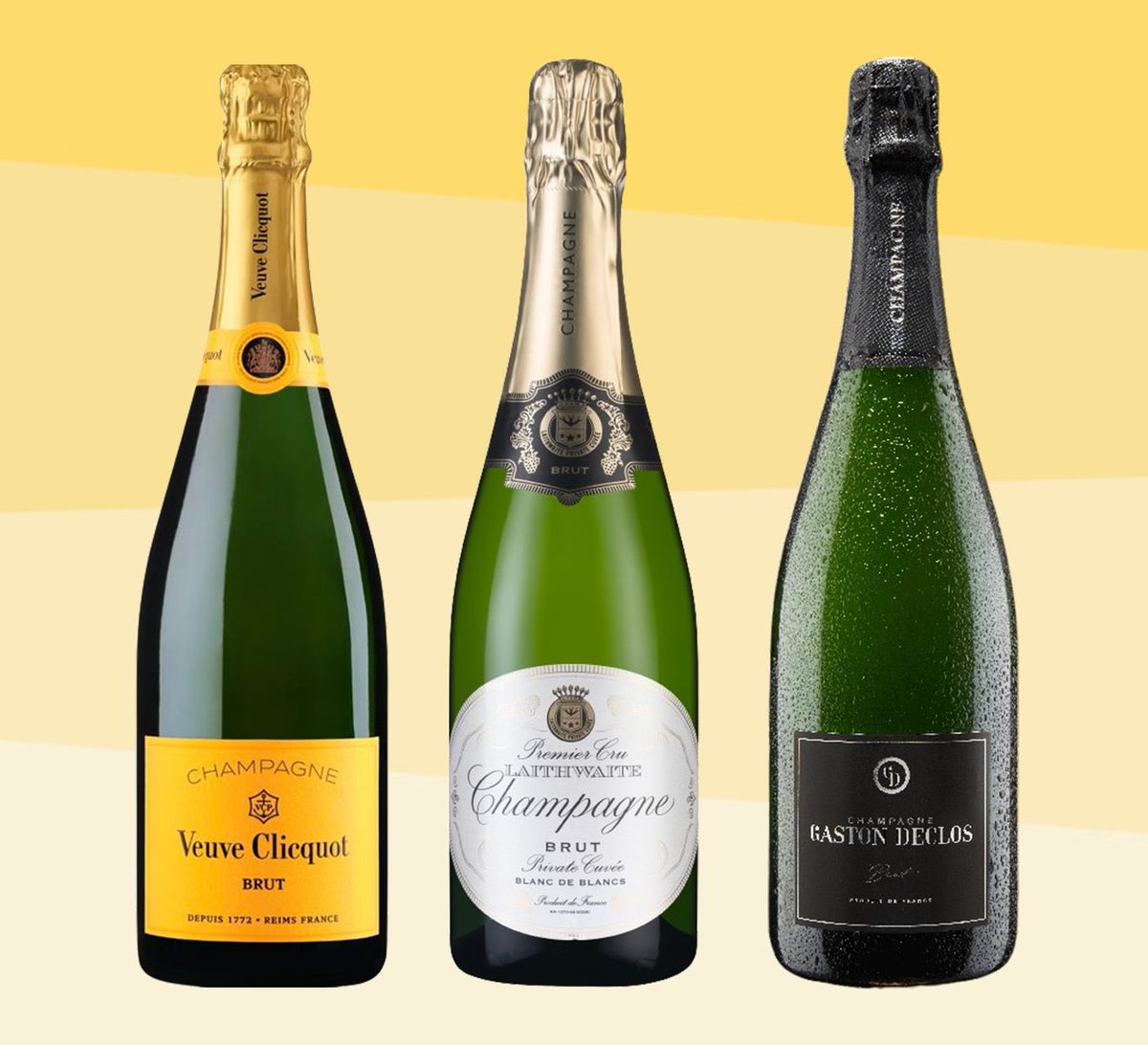 Metal Bizkit Rising tweet media