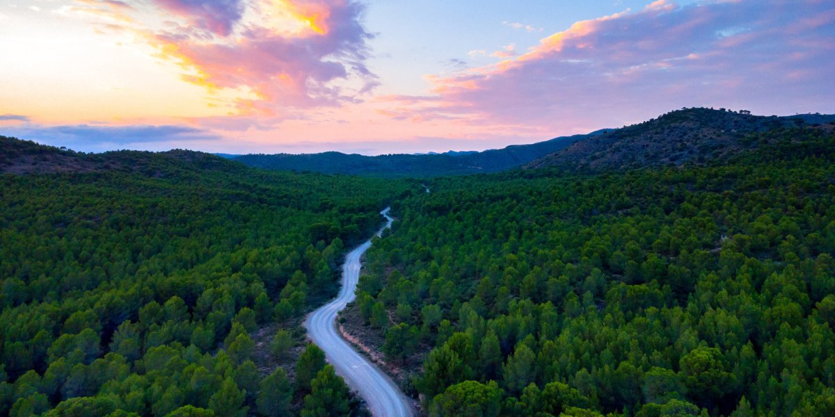 Region of Valencia tweet media