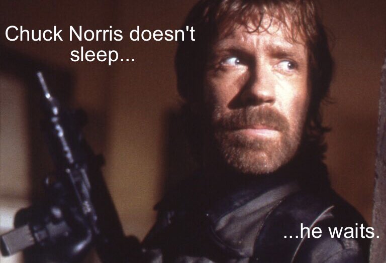 DToecutter tweet media