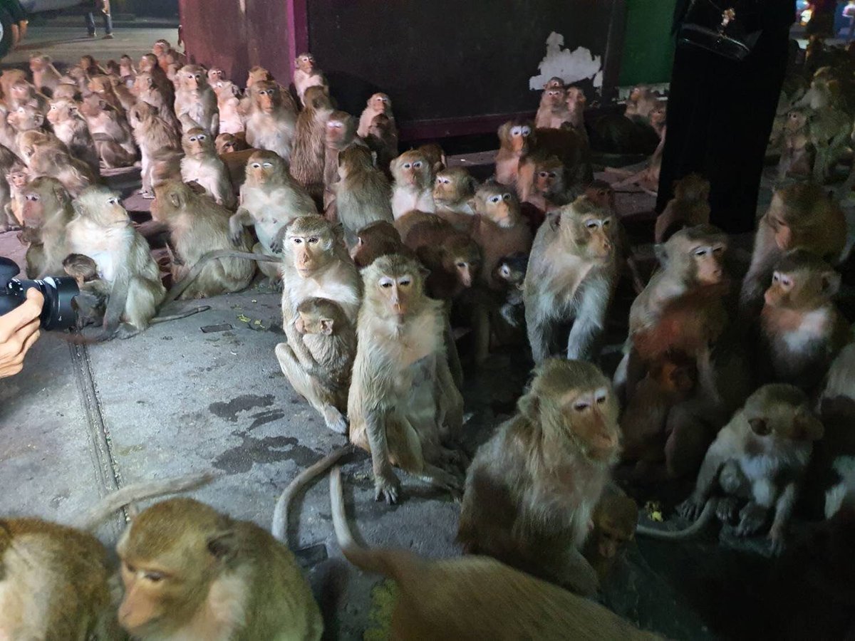 บอจอ ᰔᩚ tweet media