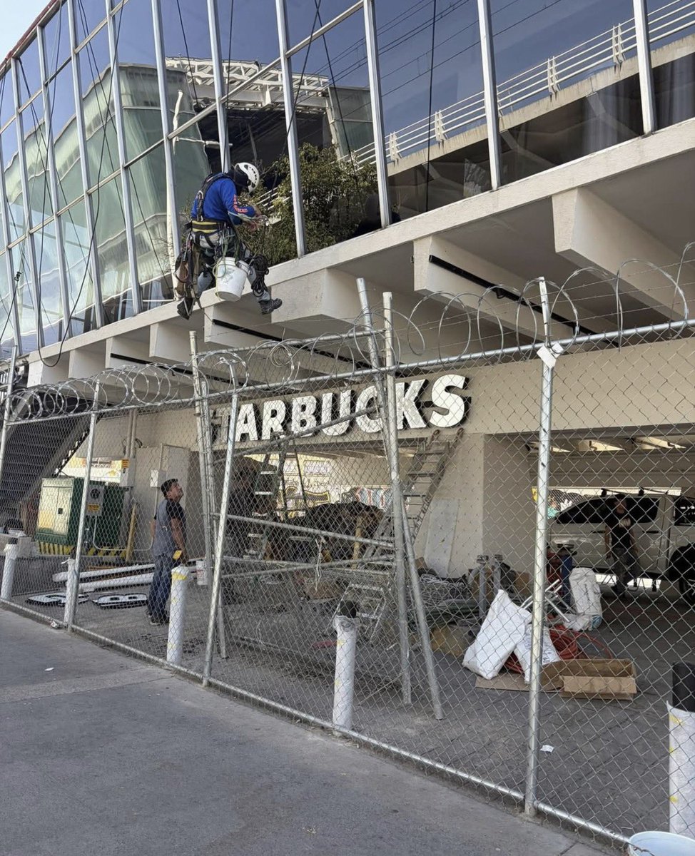 LUIS GUZMAN 📣 tweet media