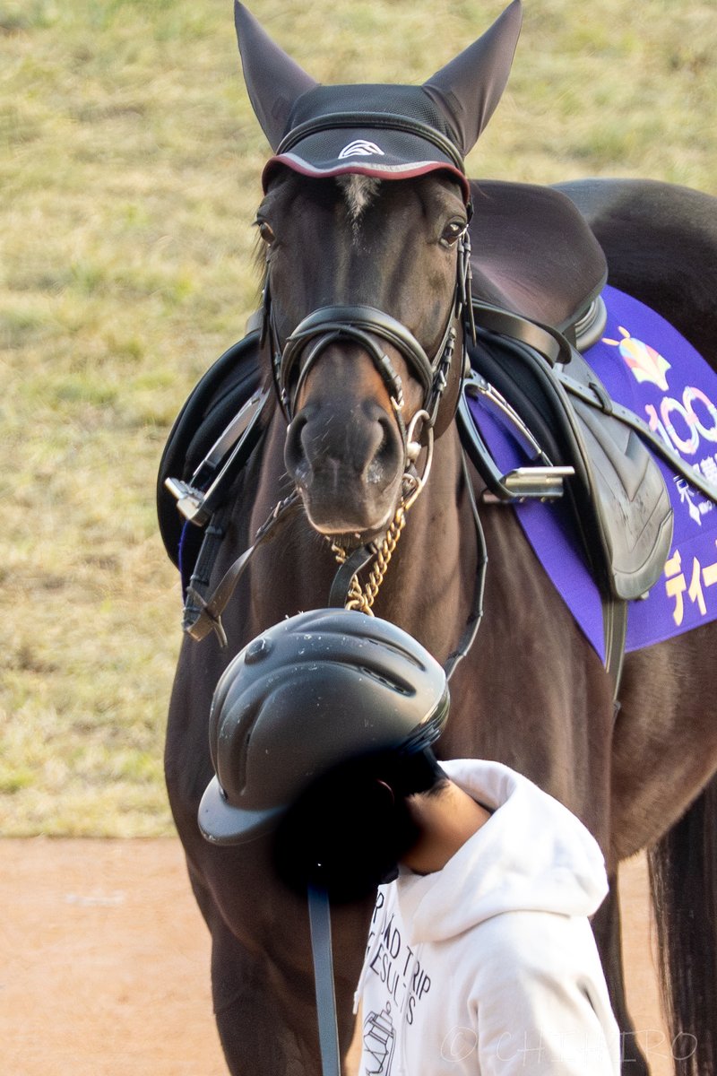 chihiro🐴 tweet media