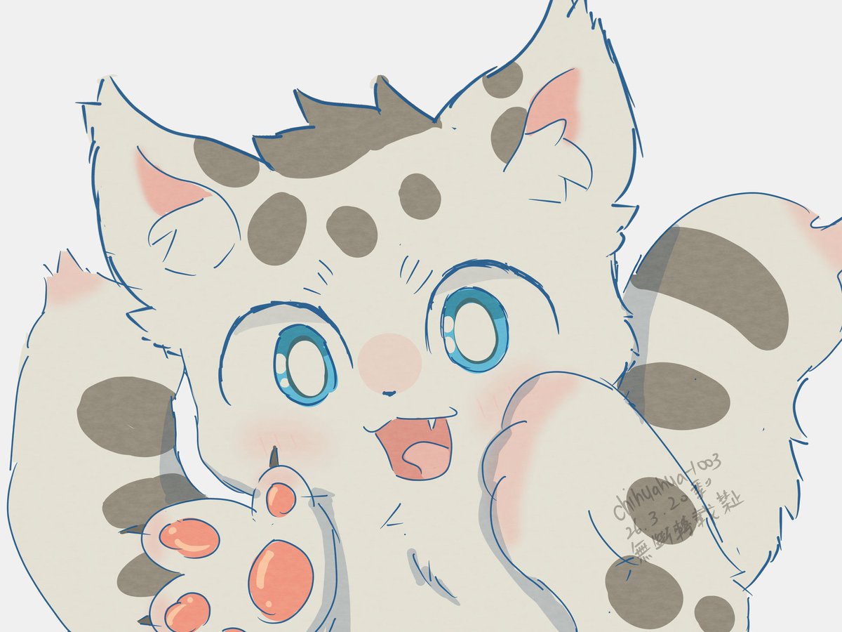 翡翠小季 tweet media