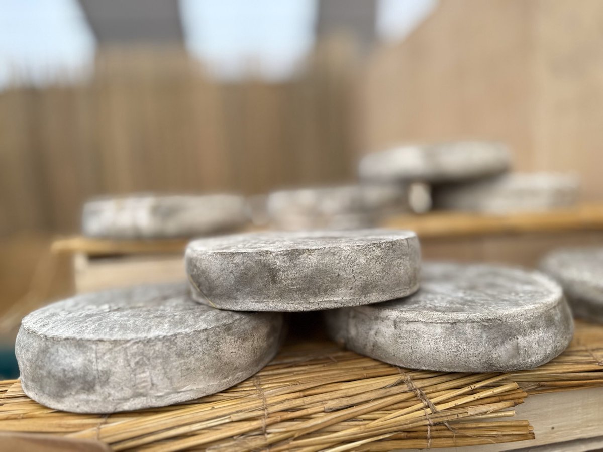 Bus Brie et 2 Morin tweet media