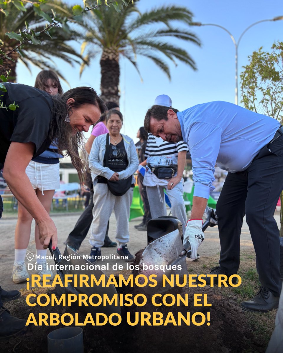 Fundación Reforestemos tweet media