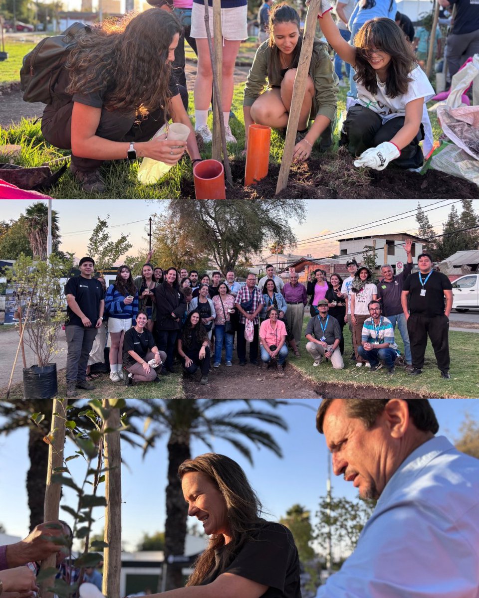 Fundación Reforestemos tweet media