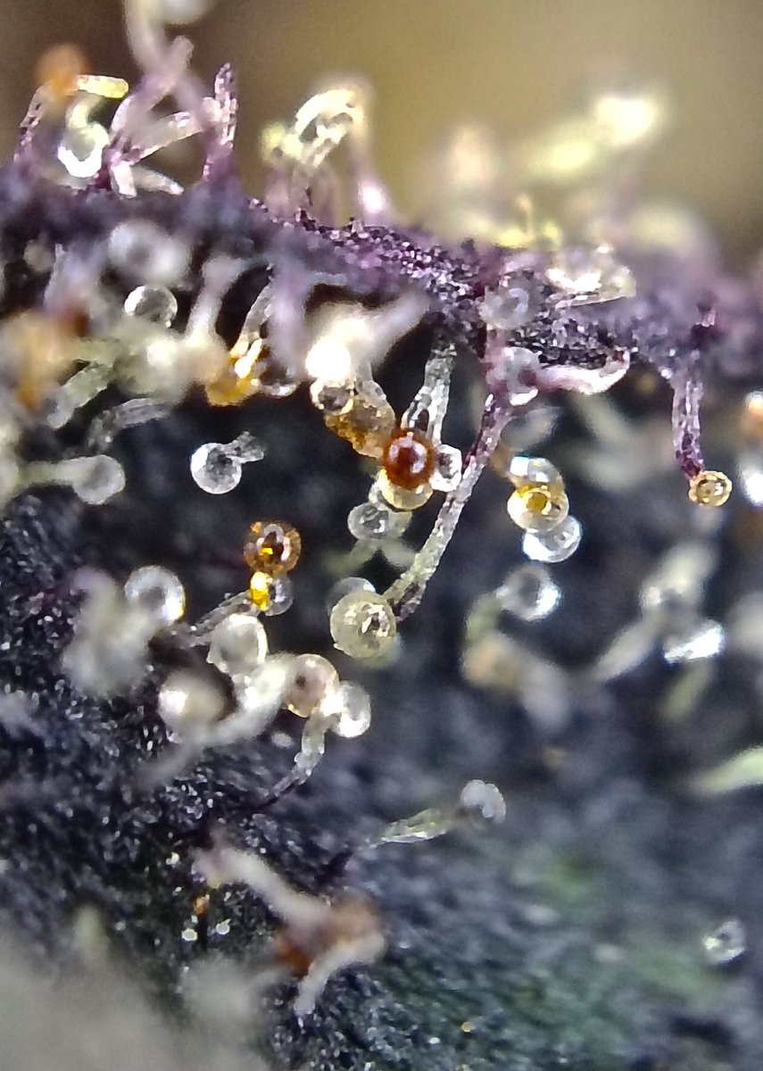 Xavier LM tweet media