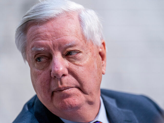 NWRain-Judi tweet media