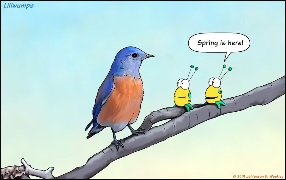 Jefferson R. Weekley (@nawalli777) on Twitter photo 